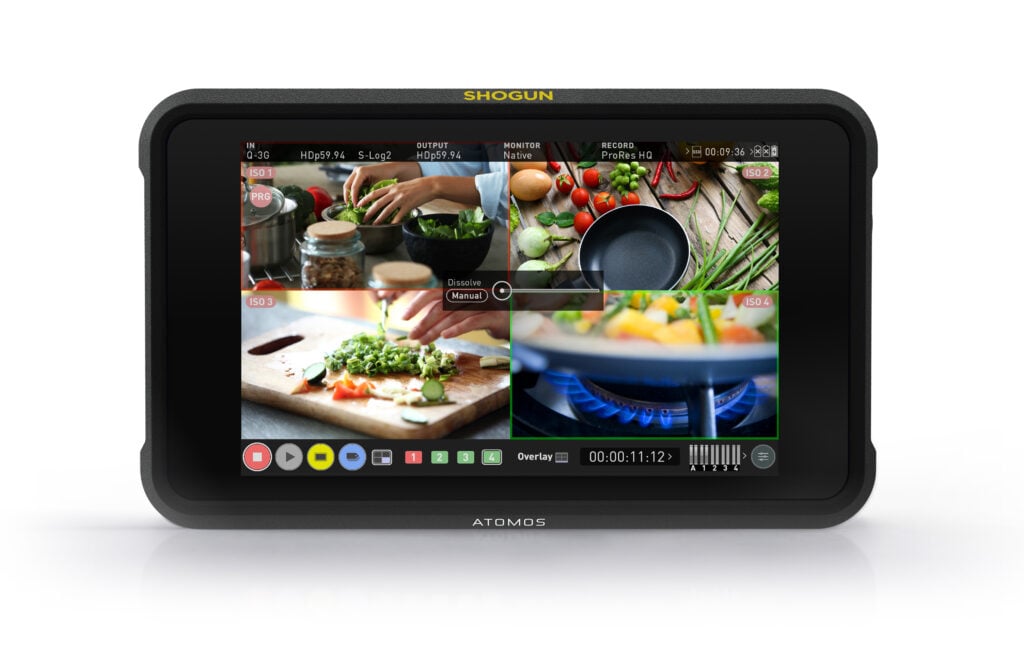 Atomos Shogun Classic monitoring tools